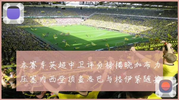 本赛季英超中卫评分榜揭晓加布力压塞内西登顶查洛巴与格伊紧随其后