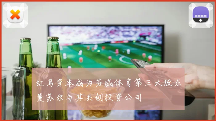 红鸟资本成为芬威体育第三大股东曼苏尔与其共创投资公司