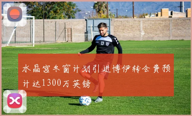 水晶宫冬窗计划引进博伊转会费预计达1300万英镑