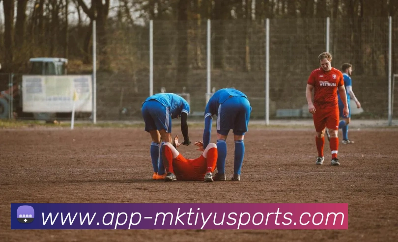 MK体育服务体系