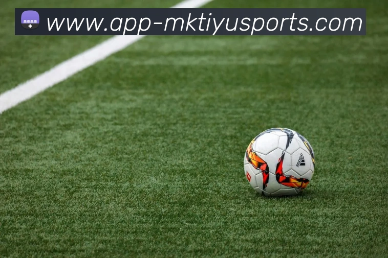 MK体育APP 体育赛事宣传图