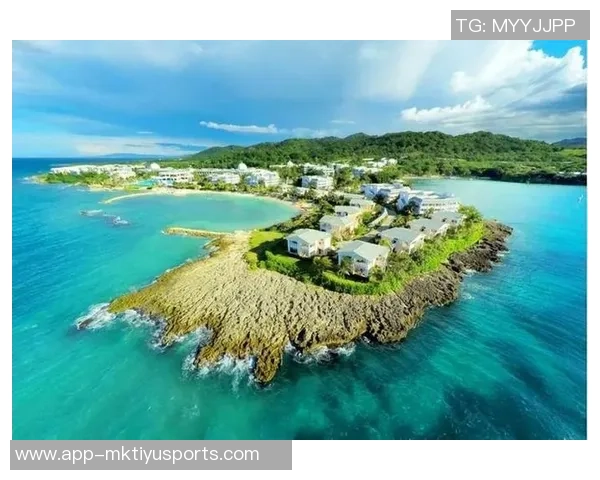 瓦塞尔计划为牙买加男篮效力2026目标直指2028年奥运会辉煌